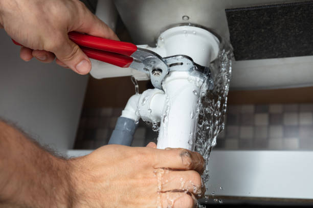 Best Flood damage cleanup  in Johnstonville, CA