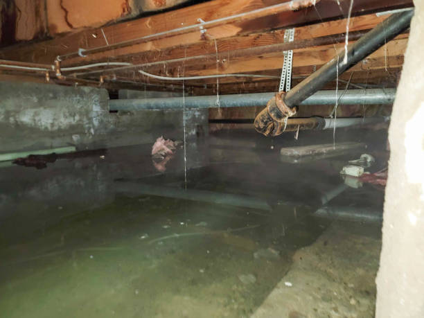 Reliable Johnstonville, CA Water damage restoration Solutions