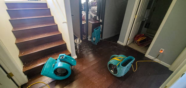 Best Emergency water damage restoration  in Johnstonville, CA