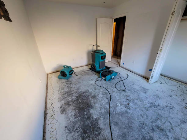 Best Water damage restoration services  in Johnstonville, CA