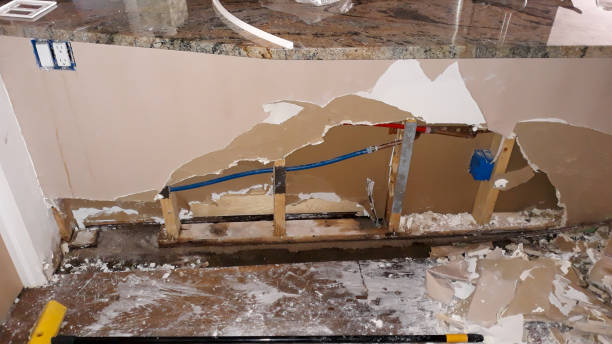 Best Fire Damage Restoration  in Johnstonville, CA