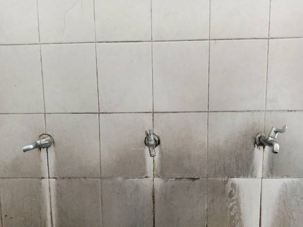 Best Residential water damage restoration  in Johnstonville, CA