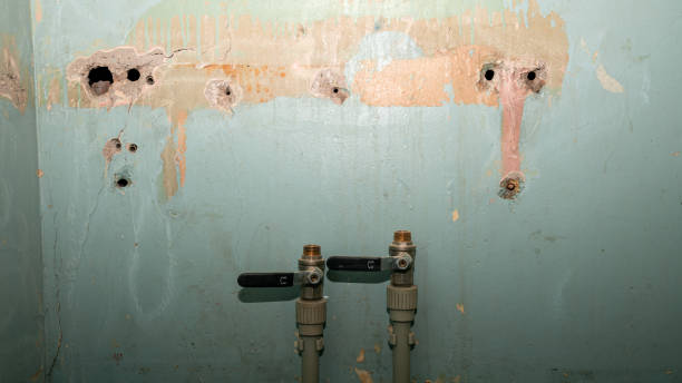Best Water damage restoration near me  in Johnstonville, CA