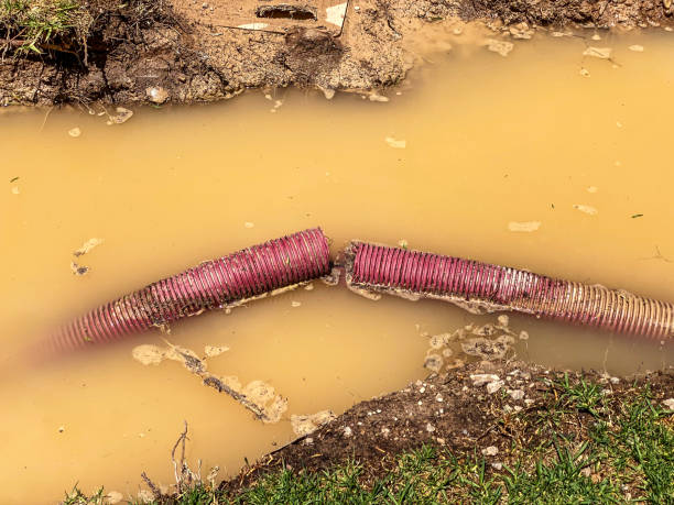 Best Water damage mitigation services  in Johnstonville, CA