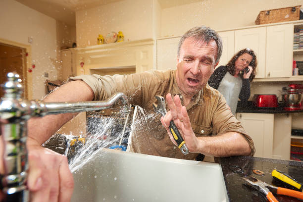 Best Professional water damage repair  in Johnstonville, CA